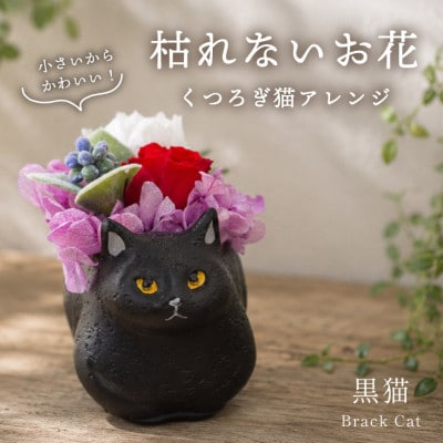 プリザーブドフラワー くつろぎ猫 黒猫 枯れないお花、ネコ好きの方へのプレゼントにもおすすめ!