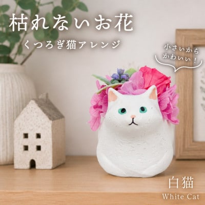 プリザーブドフラワー くつろぎ猫 白猫 枯れないお花、猫好きの方へのプレゼントにもおすすめ!