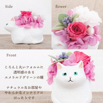 プリザーブドフラワー くつろぎ猫 白猫 枯れないお花、猫好きの方へのプレゼントにもおすすめ!