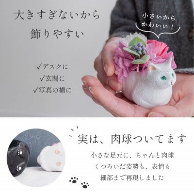 プリザーブドフラワー くつろぎ猫 白猫 枯れないお花、猫好きの方へのプレゼントにもおすすめ!