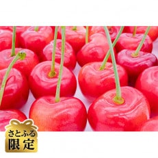 【数量限定】山梨県産 産地直送大粒さくらんぼ 『紅秀峰』約500g <さとふる限定>