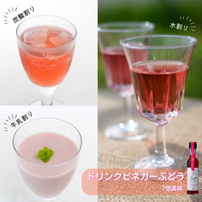 飲む酢のイメージを変える!ドリンクビネガー3本セット(ぶどう・ゆず・生姜)　≪飲むワインビネガー≫