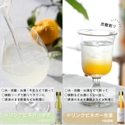 飲む酢のイメージを変える!ドリンクビネガー3本セット(ぶどう・ゆず・生姜)　≪飲むワインビネガー≫