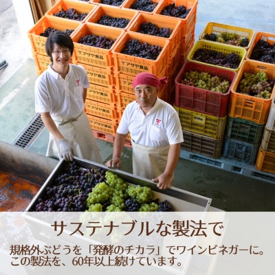 【簡単・時短おうちごはん応援!】ピクルスワインビネガー10本セット -自社醸造ワインビネガー使用-