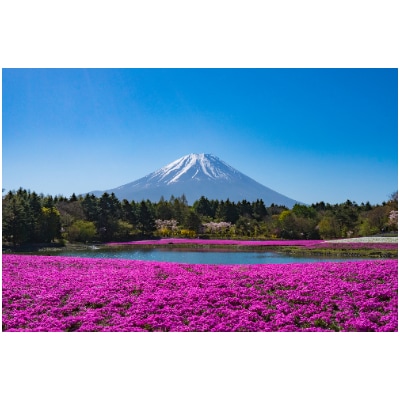 山梨県　ふるさと納税旅行クーポン(9,000円分)