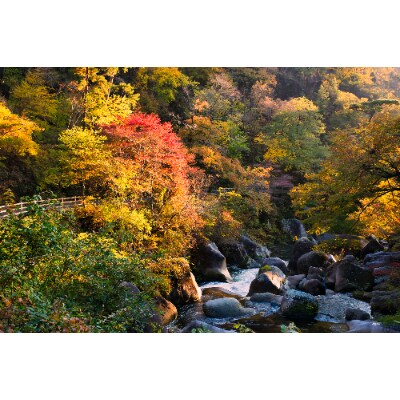 山梨県　ふるさと納税旅行クーポン(9,000円分)