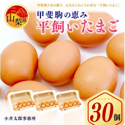 甲斐駒の恵み・着色料無添加の平飼いたまご30個