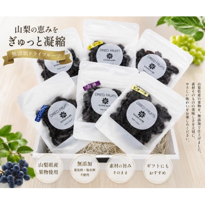 ドライフルーツぶどう6種セット