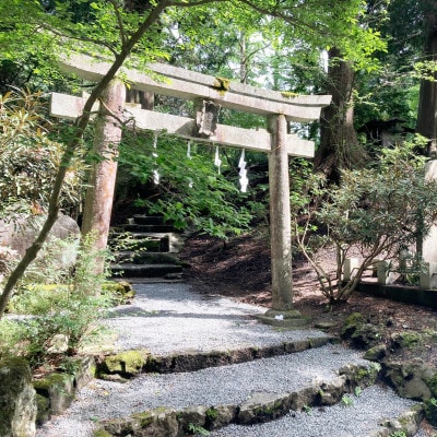 【世界遺産富士山】富士講の歴史をたどる富士山吉田口登山道ガイド付トレッキングツアー参加券・特製行衣付