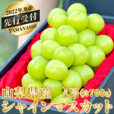 【先行受付】採れたて!山梨県産シャインマスカット1房(約700g)