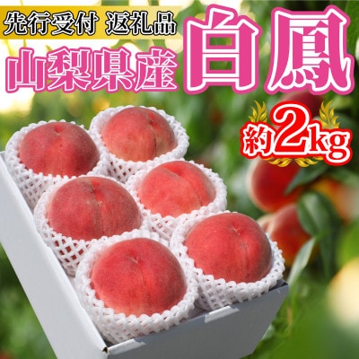 【先行受付】採れたて!山梨県産 完熟桃 白鳳系 約2kg(5~7玉)