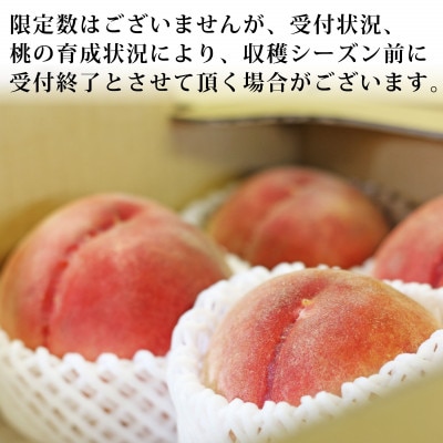 【先行受付】採れたて! 山梨県産 訳あり 完熟桃 約2kg(5～7玉)