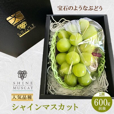 【やまなし内藤農園】シャインマスカット1房(600g前後)