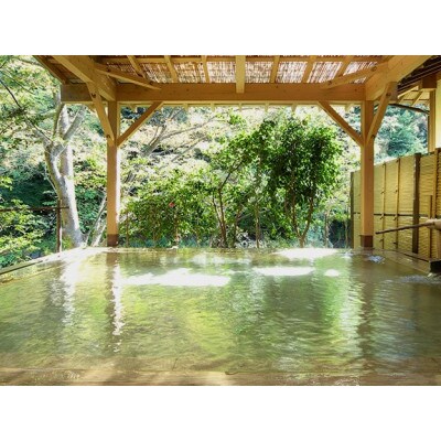 飲む温泉水「真木温泉 弥生の舞」飲泉力(10リットル×2箱)