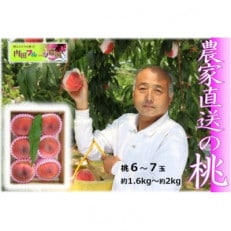 【農家直送】山梨県産　桃6～7玉(約1.6～2kg)