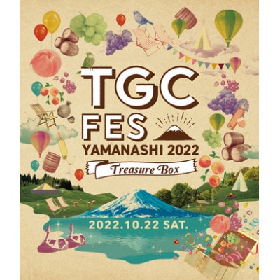 TGC FES YAMANASHI2022入場チケット【前方席確約指定席】2022年10月22日開催