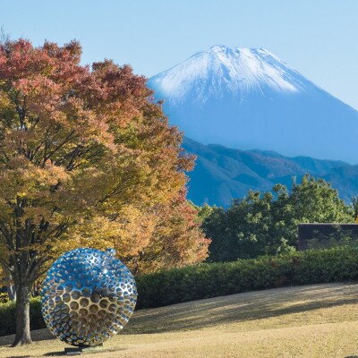 【山梨県立美術館　米倉壽仁展】山梨ゆかりの画家の作品を楽しめる特別展のオープニングセレモニー招待券