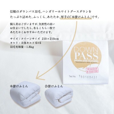 【富士新幸謹製】DOWNPASS 羽毛本掛けふとん・クイーン|ハンガリーホワイトグースダウン 93%