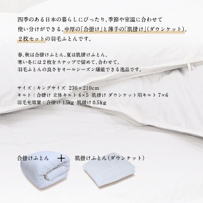 【富士新幸謹製】DOWNPASS 二枚合わせ 羽毛ふとん・キング|ハンガリーグースダウン93%