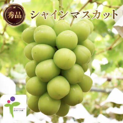 【JAフルーツ山梨】山梨県産ハウスシャインマスカット　1房【秀品】