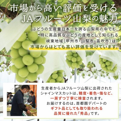 【JAフルーツ山梨】山梨県産ハウスシャインマスカット　1房【秀品】