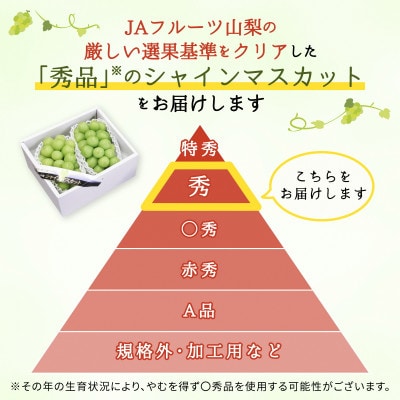 【JAフルーツ山梨】山梨県産ハウスシャインマスカット　1房【秀品】