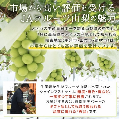 【JAフルーツ山梨】山梨県産シャインマスカット　3房【秀品】