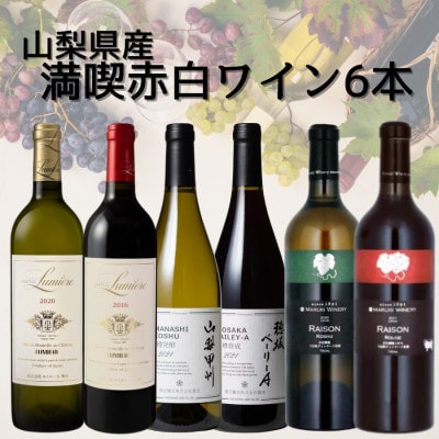 おすすめワイナリー赤白6本セット　019