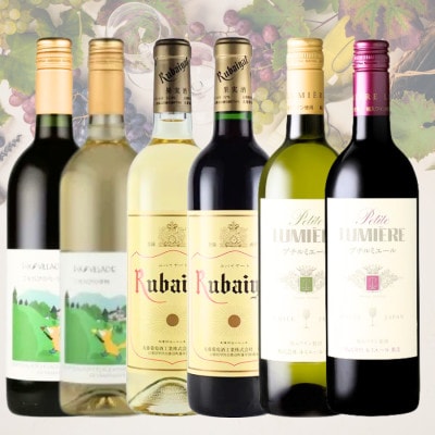 スタンダードワイン6本セット　025