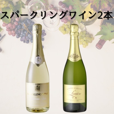 スパークリングワイン2本セット(5)　049