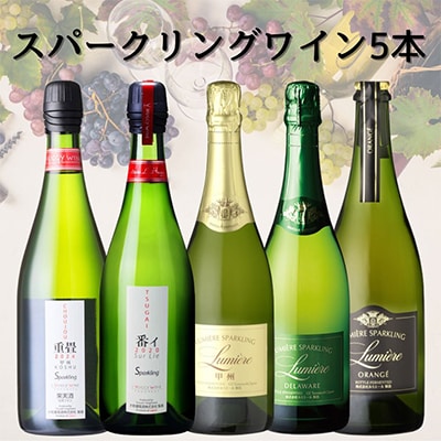 山梨県産スパークリングワイン5本　053