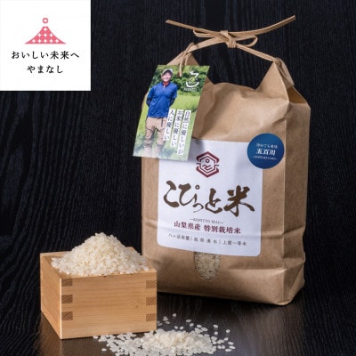 冷めても美味しい!【令和7年産】こぴっと米【五百川】白米・2kg　特別栽培米