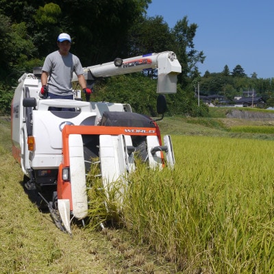 冷めても美味しい!【令和7年産】こぴっと米【五百川】白米・4kg　特別栽培米