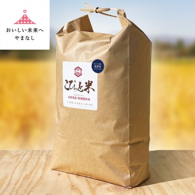 冷めても美味しい!【令和7年産】こぴっと米【五百川】白米・10kg　特別栽培米