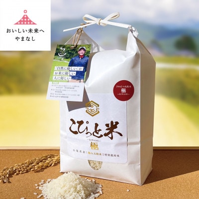 きわだつ大粒!【令和7年産】こぴっと米【極】白米・2kg　特別栽培米