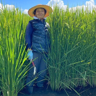 きわだつ大粒!【令和7年産】こぴっと米【極】白米・4kg　特別栽培米