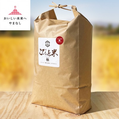 きわだつ大粒!【令和7年産】こぴっと米【極】白米・10kg　特別栽培米