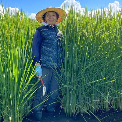 きわだつ大粒!【令和7年産】こぴっと米【極】白米・10kg　特別栽培米