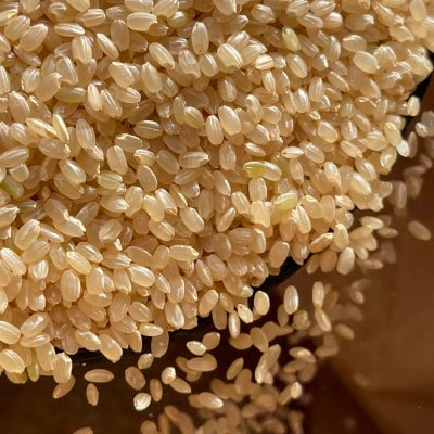【米粉の玄米麺】(スープ付)2食入×5袋　味噌ラーメン 半生　特別栽培『コシヒカリ』使用