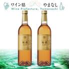 マンズ ワイナリー ワインメーカーズ梅酒 琥珀彩 2本セット