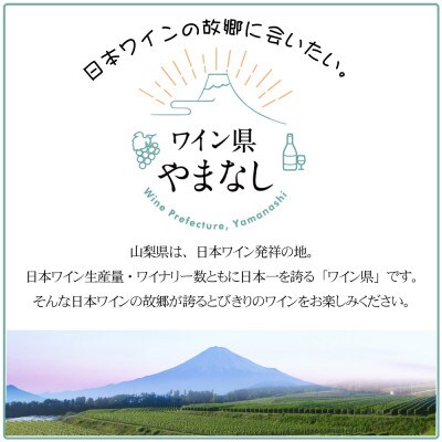 まるき葡萄酒 いろ甲州&ベーリーA 2本セット