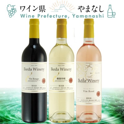 イケダワイナリー 赤&白&ロゼ 3本セット