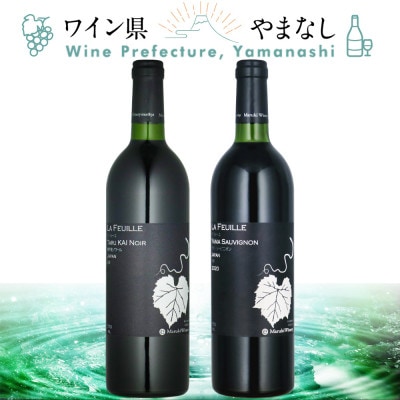 山梨県作出ブドウ 甲斐ノワール&ヤマ・ソービニオン 2本セット