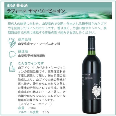 山梨県作出ブドウ 甲斐ノワール&ヤマ・ソービニオン 2本セット