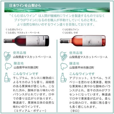 くらむぼん ワイン 4本セット