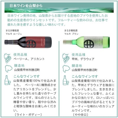 山梨ワイン リラックス 飲み比べ 6本セット