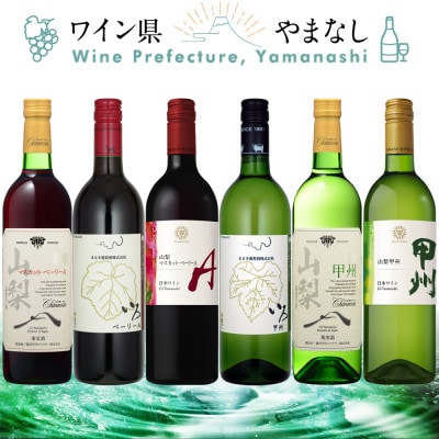 これぞ山梨 「GI山梨」認証ワイン 6本セット