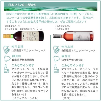 山梨ワイン 注目生産者の定番ワイン 6本セット