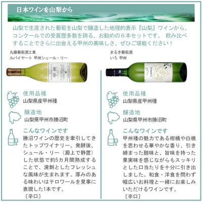 山梨ワイン 注目生産者の定番ワイン 6本セット