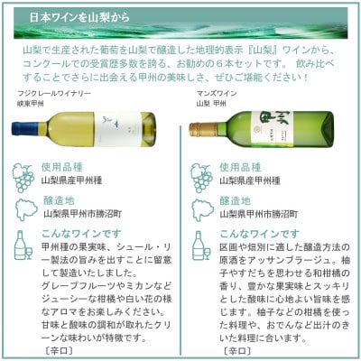 山梨ワイン 注目生産者の定番ワイン 6本セット